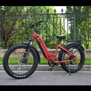 Pase a través de diseño de bicicleta de neumáticos de grasa eléctrica 26 'pulgada Batería simple/dual Batería eléctrica para la venta