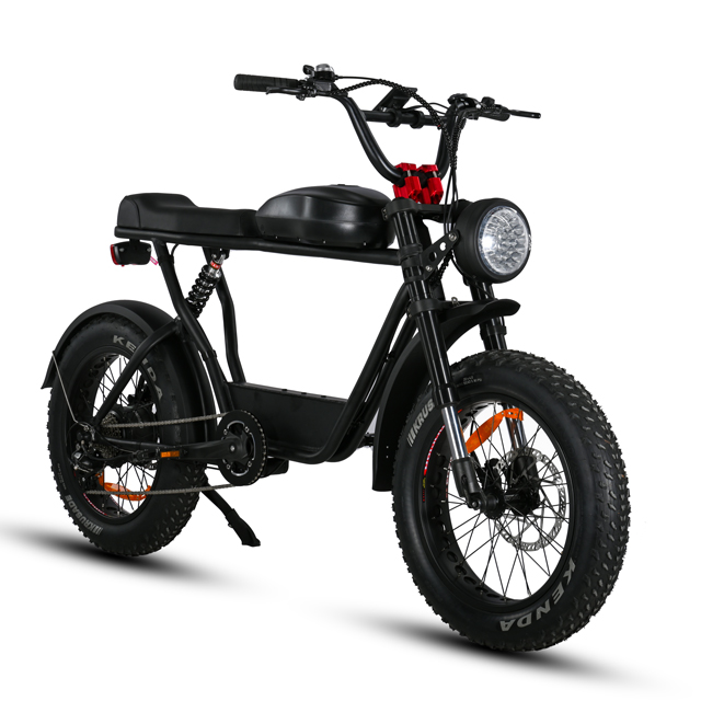 Ciclismo de motor trasero de neumático grasa de 20 'pulgada con transmisión E ecológica de transmisión de 7 velocidades