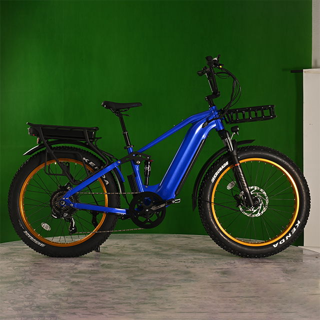 Batería Dual Eletcirc Bike Alta potencia Bike de neumáticos de grasa eléctrica de 1500W Motor de cubo