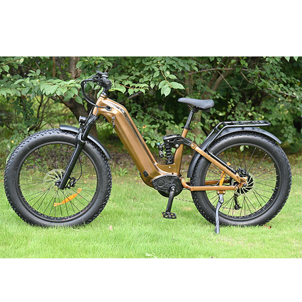 Pase a través de diseño de bicicleta de neumáticos de grasa eléctrica 26 'pulgada Batería simple/dual Batería eléctrica para la venta