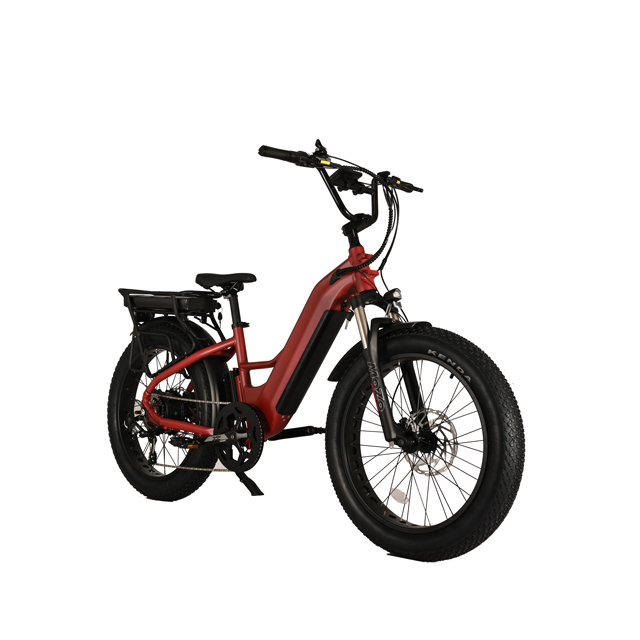 Bicicleta eléctrica de batería dual con diseño de motor del cubo trasero 26 'pulgada de neumáticos grasos con bicicleta eléctrica con motor potente