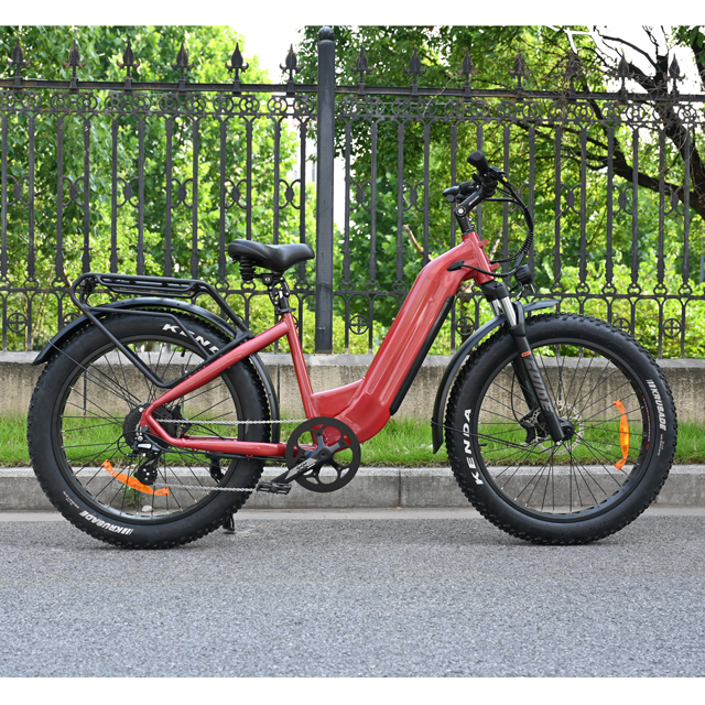 Pase a través de diseño de bicicleta de neumáticos de grasa eléctrica 26 'pulgada Batería simple/dual Batería eléctrica para la venta