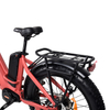 Bicicleta eléctrica gorda de motor dual paso a paso TDA26L