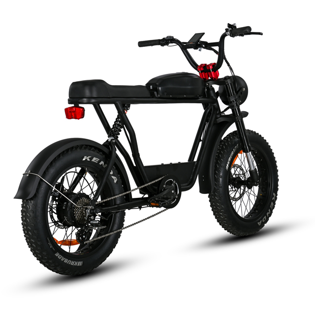 Ciclismo de motor trasero de neumático grasa de 20 'pulgada con transmisión E ecológica de transmisión de 7 velocidades