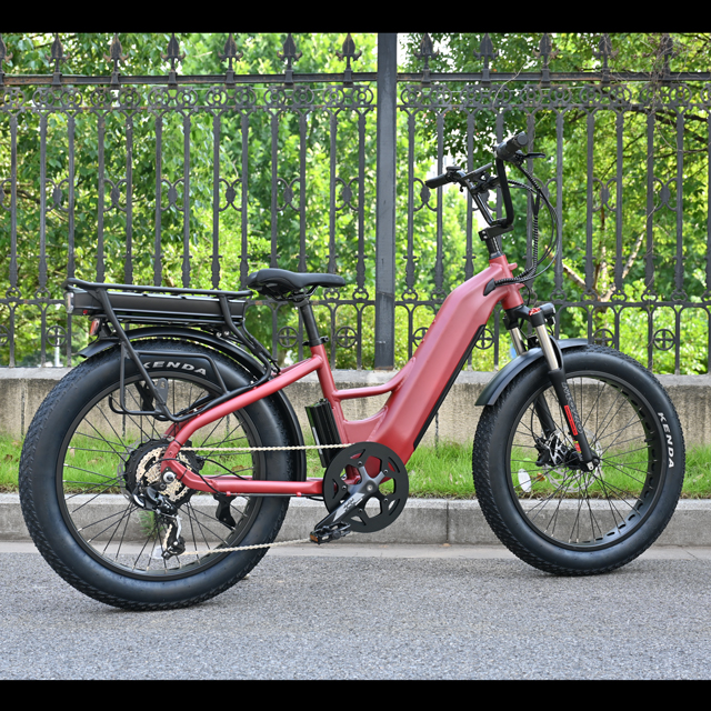 Bicicleta eléctrica de batería dual con diseño de motor del cubo trasero 26 'pulgada de neumáticos grasos con bicicleta eléctrica con motor potente