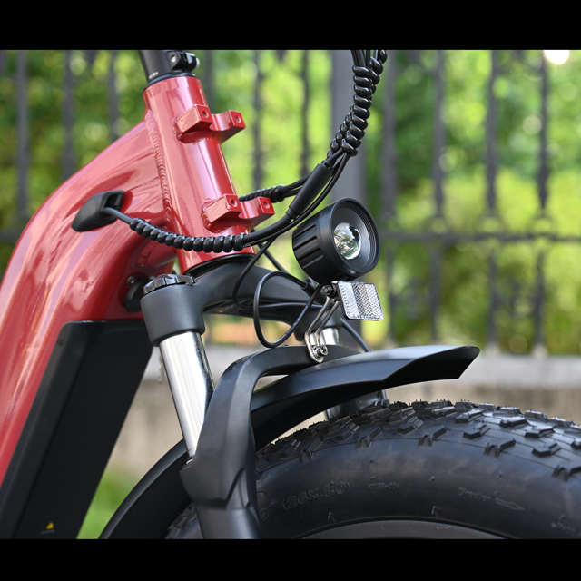 Pase a través de diseño de bicicleta de neumáticos de grasa eléctrica 26 'pulgada Batería simple/dual Batería eléctrica para la venta