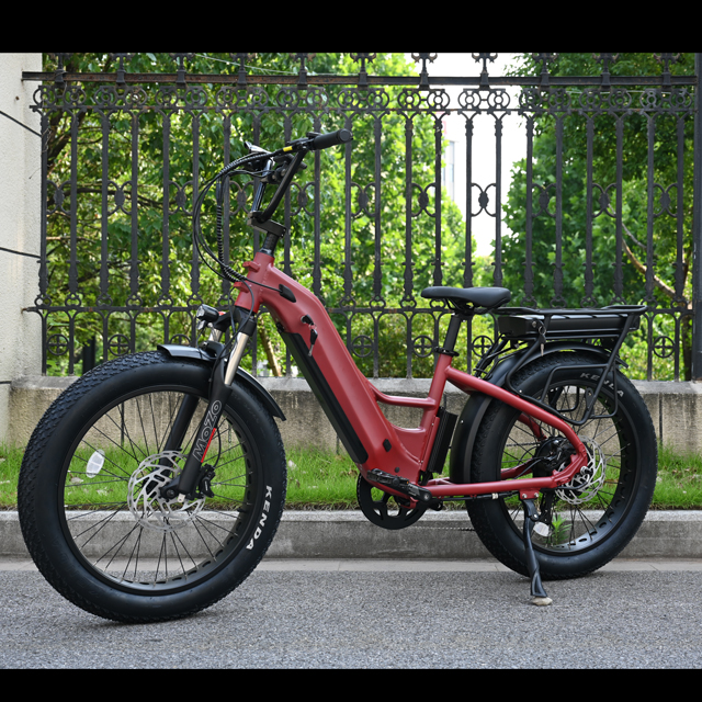 Bicicleta eléctrica de batería dual con diseño de motor del cubo trasero 26 'pulgada de neumáticos grasos con bicicleta eléctrica con motor potente