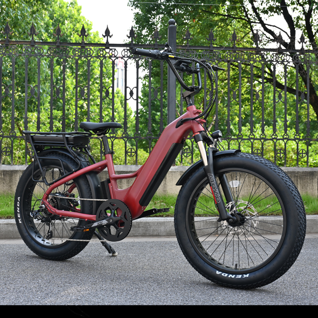 Bicicleta eléctrica de batería dual con diseño de motor del cubo trasero 26 'pulgada de neumáticos grasos con bicicleta eléctrica con motor potente