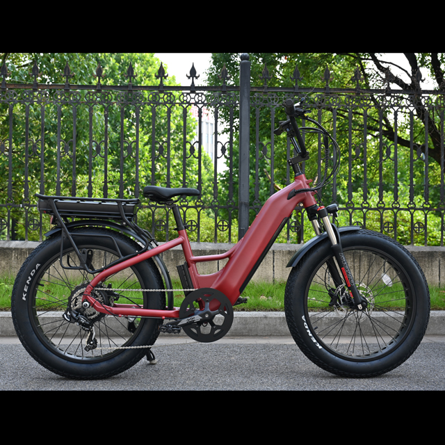 Bicicleta eléctrica de batería dual con diseño de motor del cubo trasero 26 'pulgada de neumáticos grasos con bicicleta eléctrica con motor potente