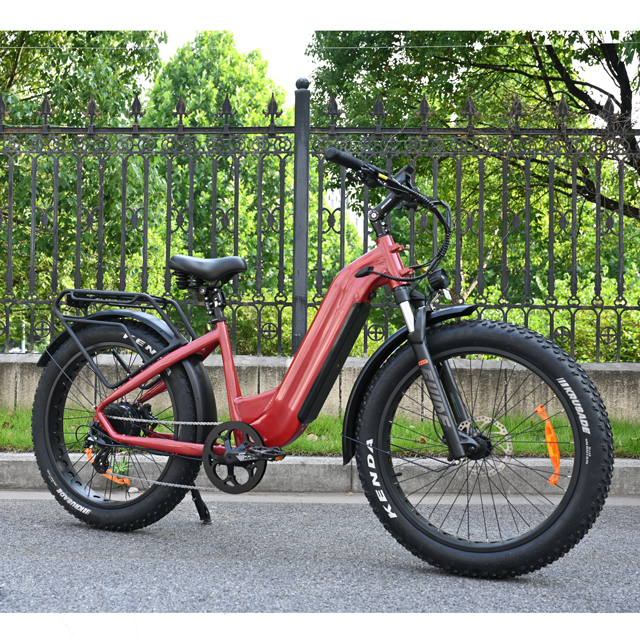 Pase a través de diseño de bicicleta de neumáticos de grasa eléctrica 26 'pulgada Batería simple/dual Batería eléctrica para la venta