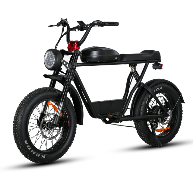 Ciclismo de motor trasero de neumático grasa de 20 'pulgada con transmisión E ecológica de transmisión de 7 velocidades